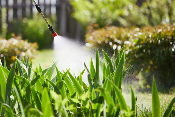 24/7 Emergency Cockroach Control experts in Park Hill, OK