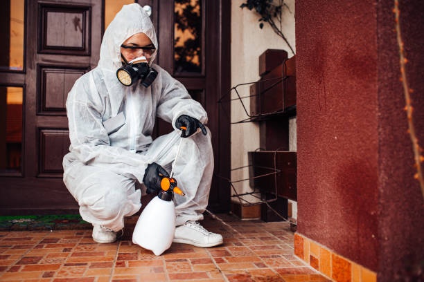 Reliable Cockroach Control contractor in Park Hill, OK by Nex Pest Control